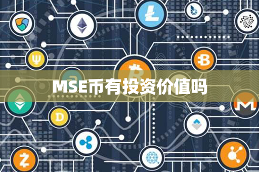 MSE币有投资价值吗第1张-币言网