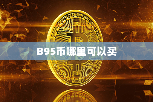 B95币哪里可以买第1张-币言网