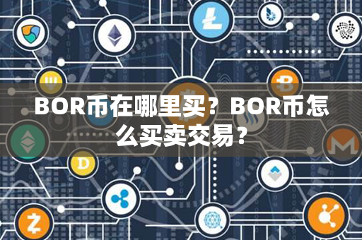 BOR币在哪里买？BOR币怎么买卖交易？第1张-币言网