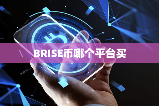 BRISE币哪个平台买第1张-币言网