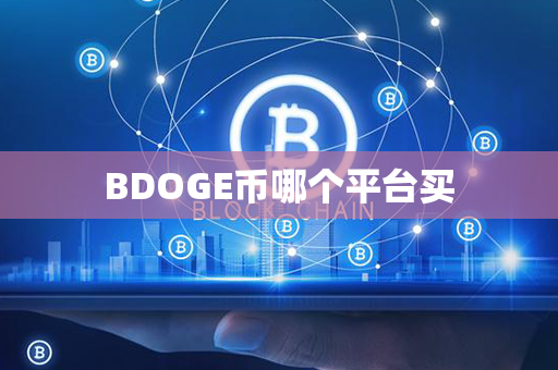 BDOGE币哪个平台买第1张-币言网