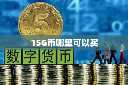 1SG币哪里可以买第1张-币言网