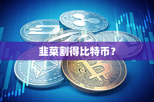 韭菜割得比特币？第1张-币言网