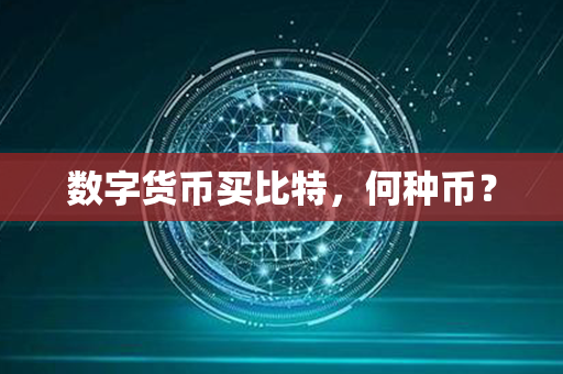 数字货币买比特，何种币？第1张-币言网