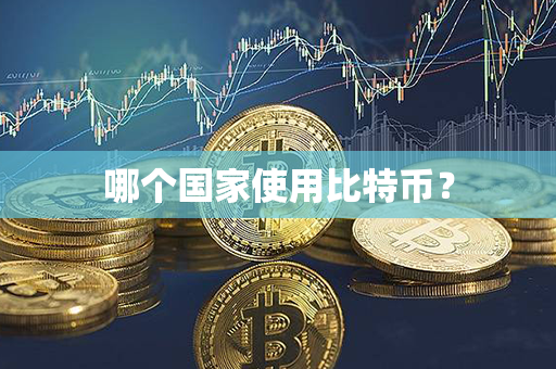 哪个国家使用比特币？第1张-币言网