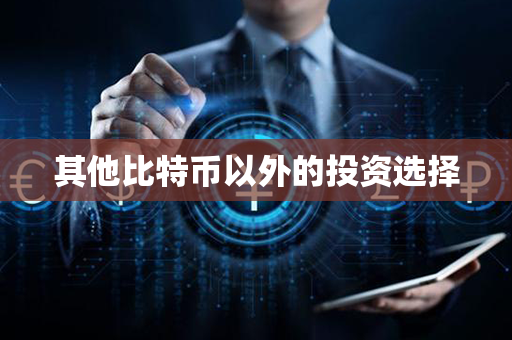 其他比特币以外的投资选择