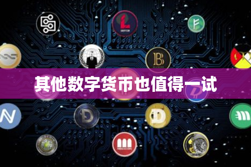 其他数字货币也值得一试第1张-币言网