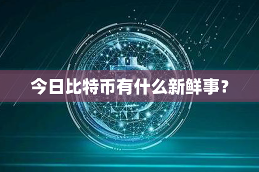 今日比特币有什么新鲜事？