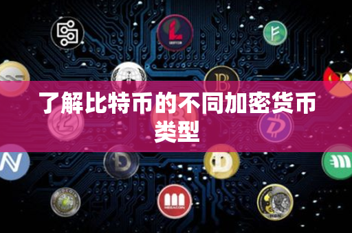 了解比特币的不同加密货币类型