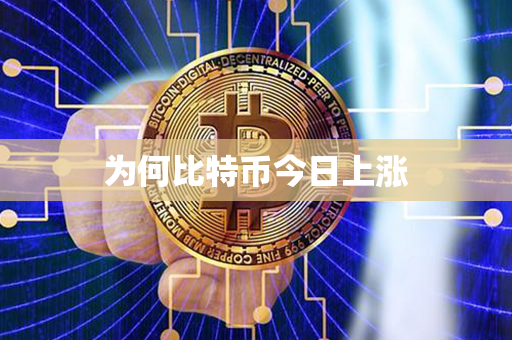 为何比特币今日上涨